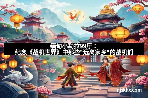 缅甸小勐拉99厅：纪念《战机世界》中那些“远离家乡”的战机们